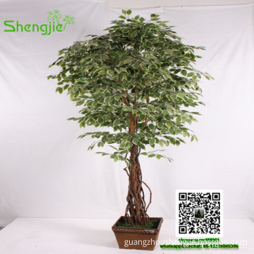 SJRS-02 indoor ornamental foliage plants fake ficus bonsai tree wholesale banyan tree bonsai